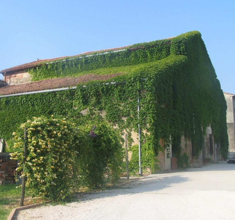 Agriturismo Ca Rossa Pegognaga ภายนอก รูปภาพ